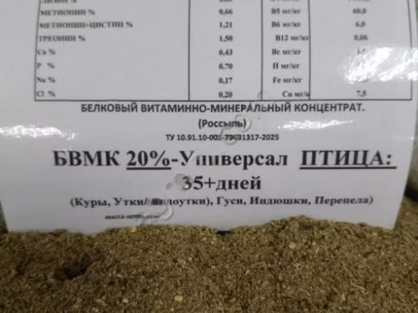БВМК Поросята