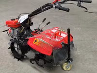 New Multifunctional Walking Tractor Power Tiller Rotary Farm Kenya — Foto 3
