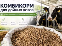 Комбикорм КК-62, престартер для телят Junior — Foto 5
