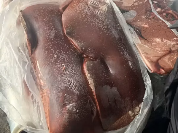 Печень говяжья