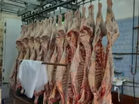 Субпродукты говяжьи и бараньи — 4 зураг