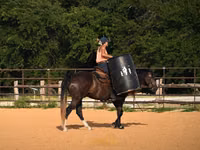 घोड़ा, Quarter Horse — फ़ोटो 8