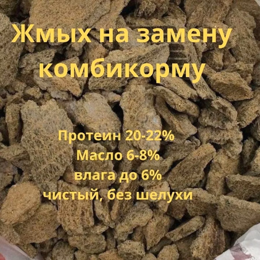 Жмых подсолнечный ракушка