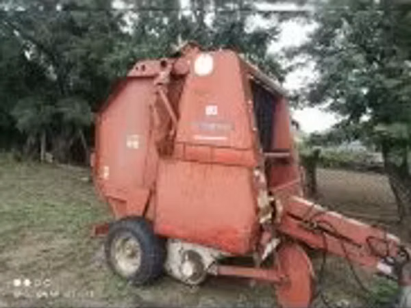 Хонь (бүлэг, хүйс заагаагүй), Хонь