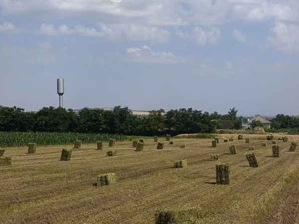 Chiucuri