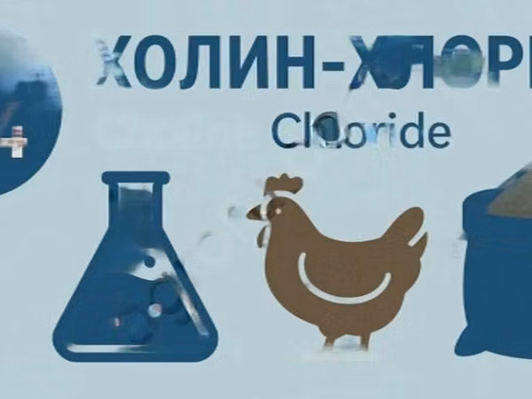 Холин хлорид