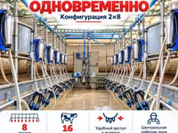 Доильный зал Melasty профессиональная система для молочных ферм ПОД — 照片 2