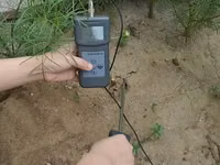 Umidometru digital pentru sol - vlagomer.md — फ़ोटो 4