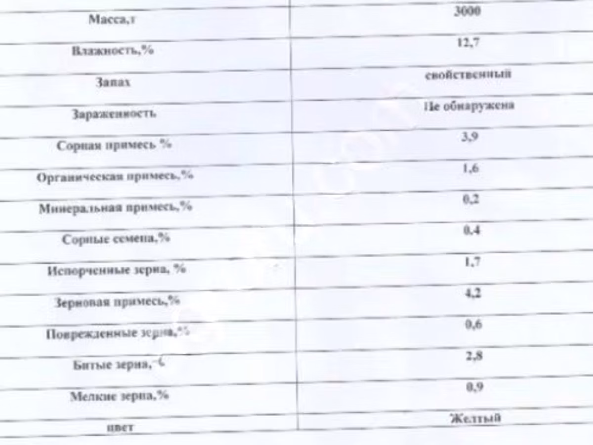 Кукуруза