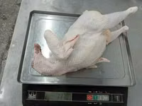 Мясо кур 1 сорт — फ़ोटो 2