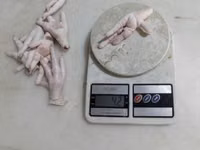 Chickens — Foto 2