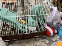 Hamster qəfəsi – tam dəst

15 ədədi qab qaşıg satıram — 1 зураг