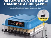 Оптом нархда! Достафка бепул, 24 Талик тўлиқ Автоматик Инкубатор — foto 1