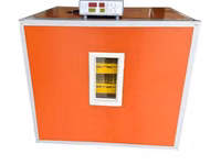 Incubator conplet automat MS-196/Promotie! — 照片 2