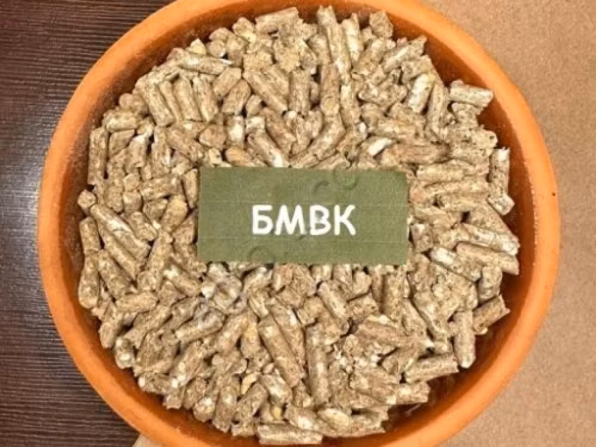 БМВК Основа Бэкс
