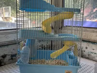 Hamster və balaca gəmiricilər üçün qəfəs - Rəng: açıq mavi plastik — 照片 2