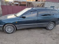 Конь, Породы лошадей — фото 3