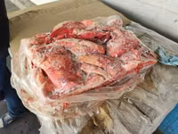 Неликвид мясо рыба птица на с-пб — Foto 4