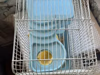 Hamster və balaca gəmiricilər üçün qəfəs - Rəng: açıq mavi plastik — 照片 3