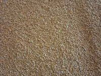 Porumb — الصورة 1