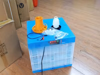 192 Eggs Fully Automatic AC/DC Poultry Incubator — 照片 2
