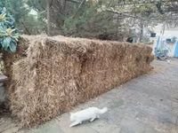 Samanlar satılır qoyunları satmisiq deye boş boş qalıb ona göre — photo 3