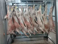 Субпродукты бараньи — Foto 3