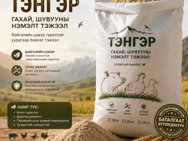 Гахай тахиа уурагт тэжээл