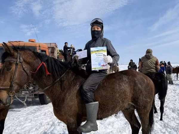 घोड़ा, Horse breed
