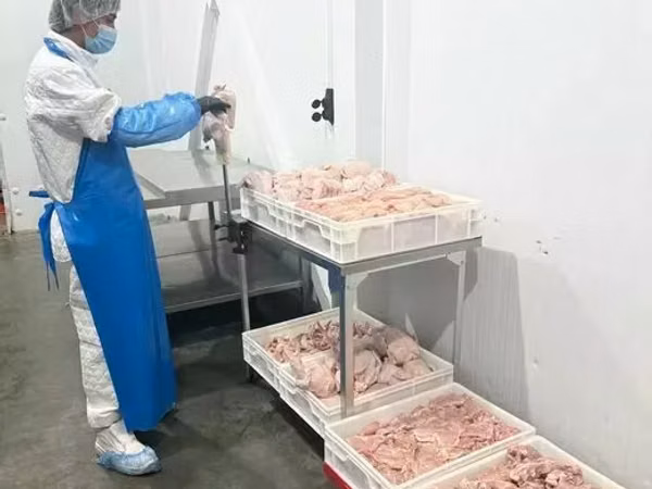 Мясо цыпленка разделка, охл зам, по тз