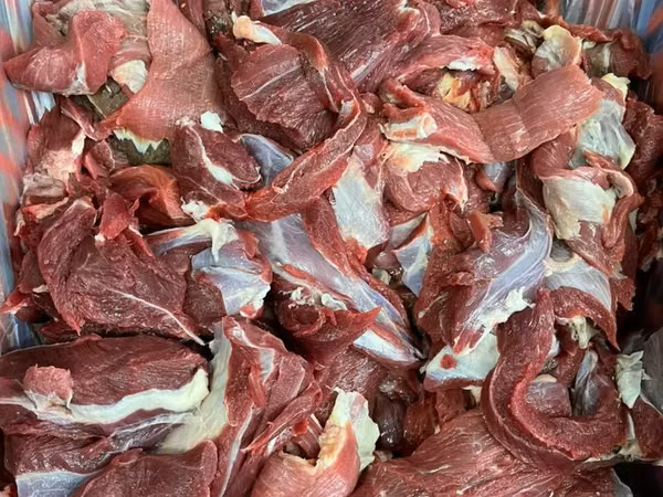 Мясо говядина оптом