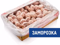Кура — photo 1