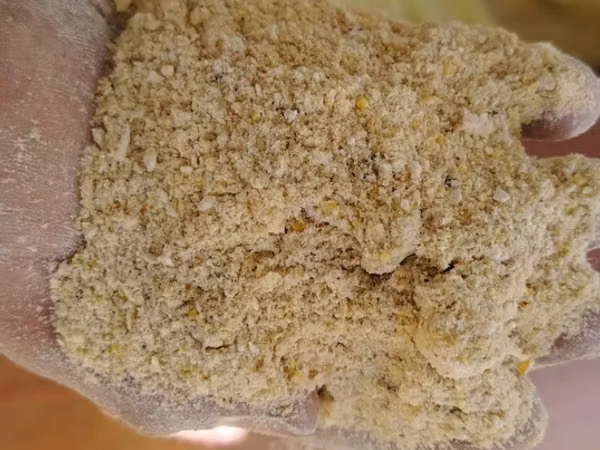 Makka jo'xori va kukuruz kepak sotiladi