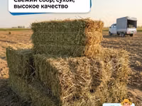 Мош пресс сотамиз — 1 зураг