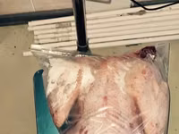 Vindem carne de curcan/curci — الصورة 3