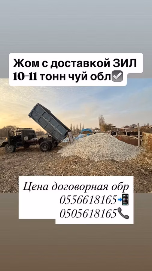 Жом с доставкой ЗИЛ. ЧУЙСКАЯ обр не дорого 🤑 - Объем одной поездки