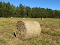 Сено в рулонах — foto 4