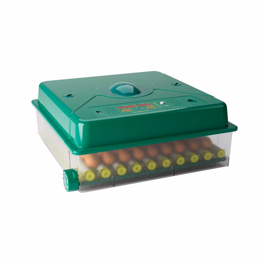 Incubator De Oua Des Champs Eco Profi C-70 - 7k - livrare/achitare in 4rate la 0% / agroteh