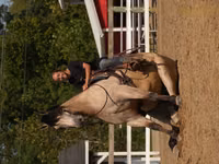 Caballo, Caballos — foto 7