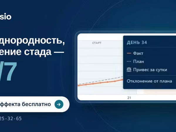 Система бесконтактного взвешивания кур
