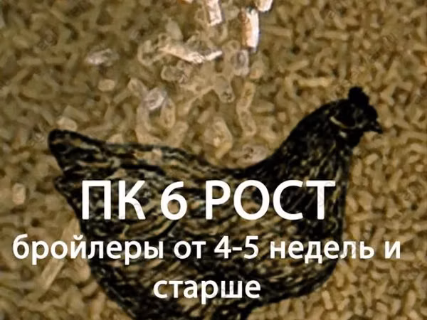 ПК-5 (бройлер 1-4 недели)