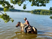 Адуу, Pinto horses — 3 зураг