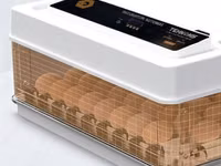 Incubator MS-70 — 照片 1