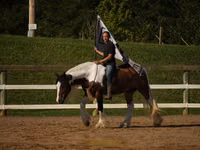 Адуу, Pinto horses — 6 зураг