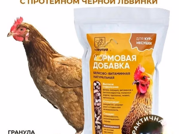 Витамины для кур несушек с Черной львинкой