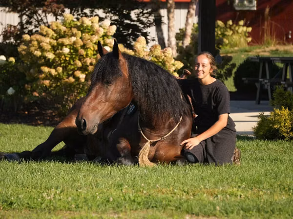 Caballo, Racking Horse
