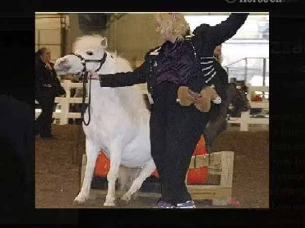 Mare, Miniature horse
