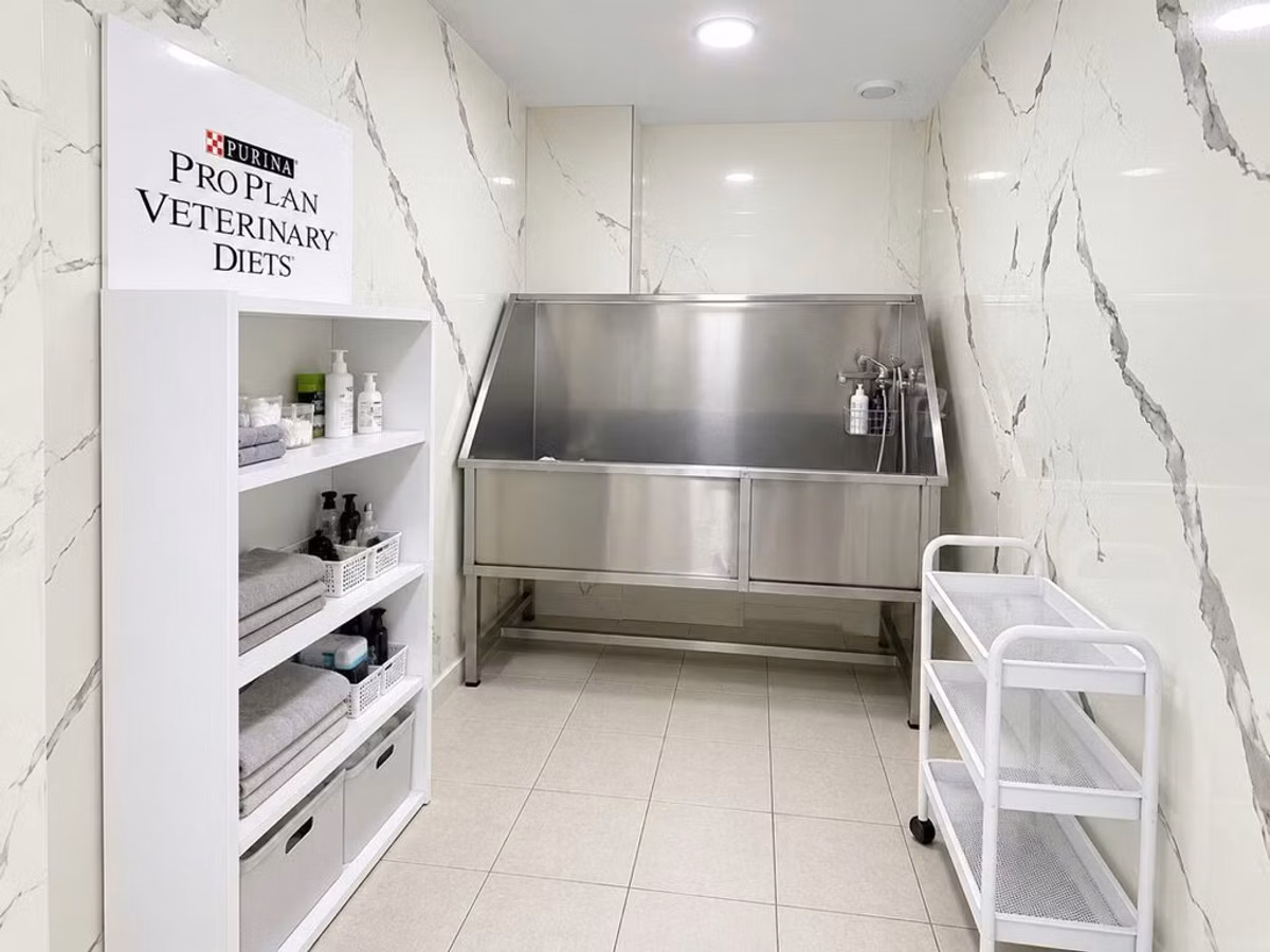 Baytarlıq klinikasında, heyvan baxımı və yuyulması üçün tam təchiz