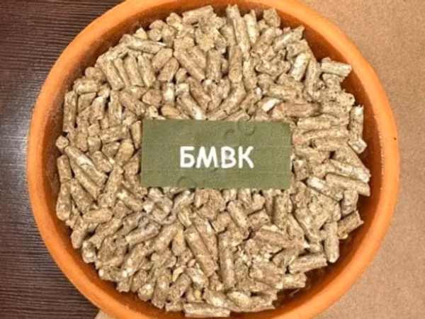 БМВК Основа Бэкс