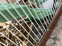 Hamster qəfəsi – tam dəst

15 ədədi qab qaşıg satıram — 2 зураг